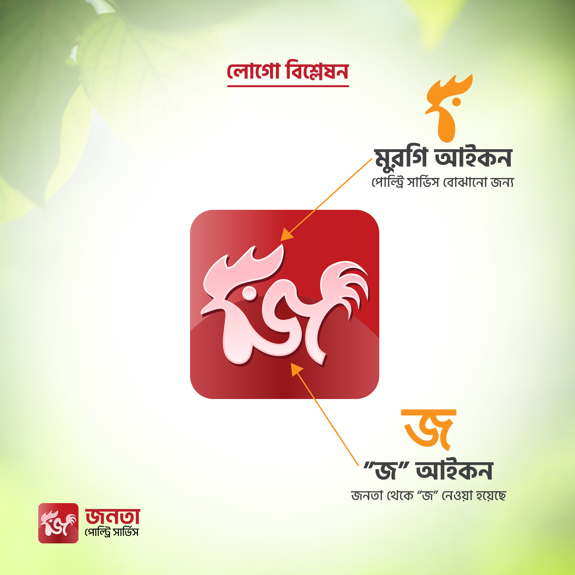 Brand Identity Design work sample 5